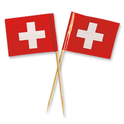 144 pz Bandiere svizzere grandi 